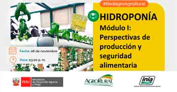  Charla online gratis "Hidroponía: perspectivas de producción y seguridad alimentaria" de Agro Rural