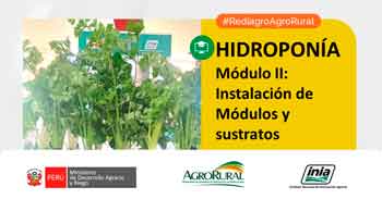  Charla online gratis "Instalación de Módulos y sustratos" de Agro Rural