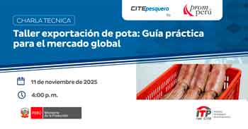  Charla online gratis: Taller Exportación de Pota: Guía práctica para el mercado Global