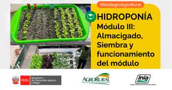 Charla online "HIDROPONÍA: Almacigado, Siembra y funcionamiento del módulo." de Agro Rural