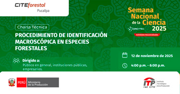  Charla online "Procedimiento de identificación macroscópica en especies forestales"