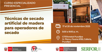  Curso presencial "Técnicas de secado artificial de madera para operadores de secado" de CITEforestal Pucallpa