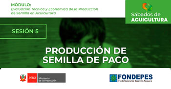  Curso online gratis"Producción de semilla de paco"  del FONDEPES