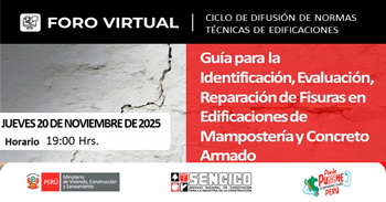  Foro online "Guía para la identificación, evaluación y reparación de fisuras en edificaciones de mampostería"