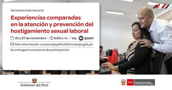  Seminario online "Experiencias comparadas en la atención y prevención del hostigamiento sexual laboral" 