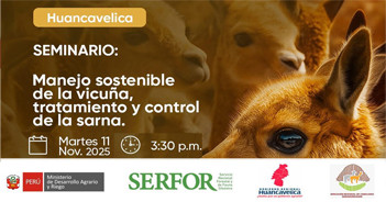 Seminario online "Manejo sostenible de la vicuña, tratamiento y control de la sarna." del MIDAGRI