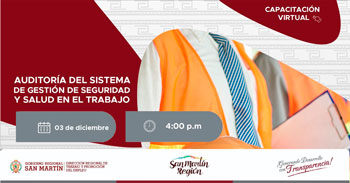  Capacitación online "Auditoría del sistema de gestión de seguridad y salud en el trabajo" DRTPE de San Martín