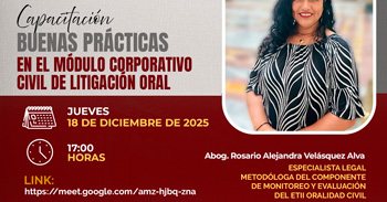  Capacitación online "Buenas Prácticas en el Módulo Corporativo Civil de Litigación Oral" 