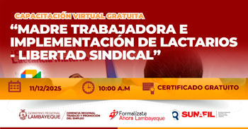  Capacitación online gratis "Madre trabajadora e implementación de lactarios – Libertad sindical"