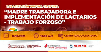  Capacitación online gratis "Madre trabajadora e implementación de lactarios - Trabajo forzoso"