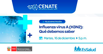  Capacitación online "Influenza virus A (H3N2): Qué debemos saber" del EsSalud