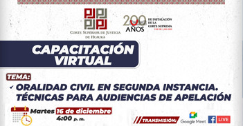  Capacitación online "Oralidad civil en segunda instancia. Técnicas para audiencias de apelación"