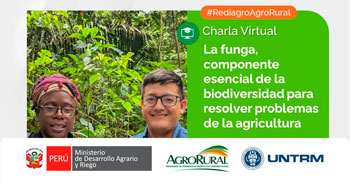  Charla online gratis La funga, componente esencial de la biodiversidad para resolver problemas de la agricultura