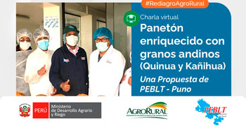  Charla online gratis "Panetón enriquecido con granos andinos (Quinua y Kañihua)" de Agro Rural