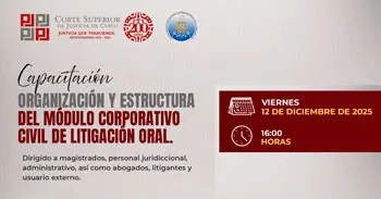  Conferencia online Organización y Estructura del Módulo Corporativo Civil de Litigación Oral