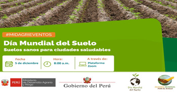  Evento online "Día Mundial del Suelo - Suelos sanos para ciudades saludables" del Rediagro Ica