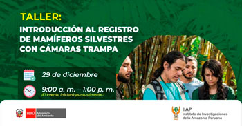  Taller presencial gratis "Introducción al registro de mamíferos silvestres con cámaras trampa" de la IIAP