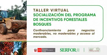   Taller online "Socialización del programa de incentivos forestales bosques" del CITEproductivo Pucallpa