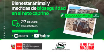  Capacitación online "Bienestar animal y medidas de bioseguridad en el hato caprino" del INIA