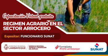  Capacitación online gratis "Régimen agrario en el sector Arrocero"  de la GRTPE Lambayeque