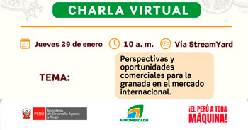  Charla online “Perspectivas y oportunidades comerciales para la granada en el mercado internacional” de Agromercado