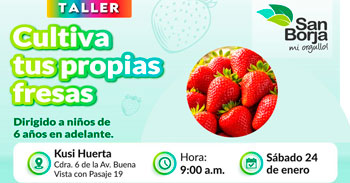  Taller presencial "Cultiva tus propias fresa" de la Municipalidad De San Borja