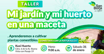  Taller presencial gratis "Mi jardín y mi huerto en una maceta" de la Municipalidad De San Borja