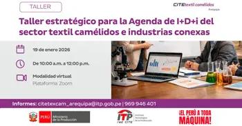  Taller online "Agenda de I+D+i del sector textil camélidos e industrias conexas"