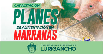 Capacitación presencial de "Planes de alimentación en marranas" de la Municipalidad de San Juan de Lurigancho
