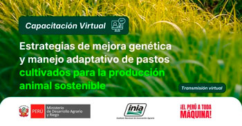  Capacitación online Estrategias de mejora genética y manejo adaptativo de pastos cultivados para la producción animal