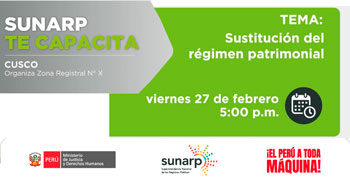  Capacitación virtual gratuita "Sustitución del régimen patrimonial" de la SUNARP