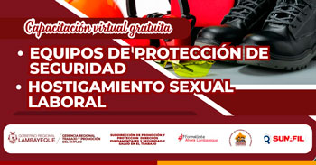  Capacitación online gratis "Equipos de protección de seguridad y  hostigamiento sexual laboral" 
