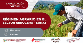 Capacitación online gratis "Régimen Agrario en el Sector Arrocero - SUNAT" de la DRTPE de San Martín