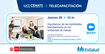  Capacitación online "Importancia de las habilidades blandas/duras en los ambientes de trabajo" del EsSalud