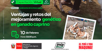  Capacitación online "Ventajas y retos del mejoramiento genético en ganado caprino" del INIA