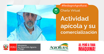  Charla online gratis "Actividad apícola y su comercialización" de Agro Rural