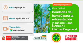  Charla online gratis "Bondades del bambú para la reforestación y sus mil usos.MÓDULO I" de Agro Rural