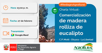  Charla online gratis "Comercialización de madera rolliza de eucalipto C.P. Motil Otuzco La Libertad"  