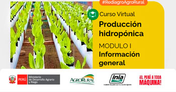  Curso online gratis "Producción hidropónica. Información General" de Agro Rural