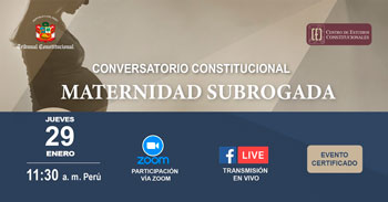  Conversatorio online  "Maternidad subrogada" del CEC
