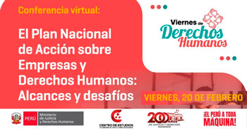  Conferencia online "El Plan Nacional de Acción sobre Empresas y Derechos Humanos: Alcances y desafíos"