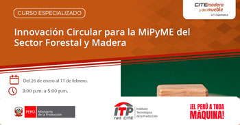  Curso virtual "Innovación Circular para la MiPyME del Sector Forestal y Madera" del ITP