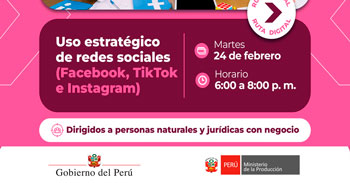  Curso virtual "Uso estratégico de redes sociales" de Produce