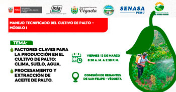  Capacitación presencial gratis "Producción del palto: factores clave y extracción de aceite"  