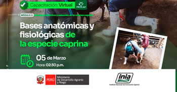 Capacitación online "Bases anatómicas y fisiológicas de la especie caprina" del INIA