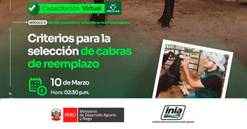 Capacitación online "Criterios para la selección de cabras de reemplazo" del INIA