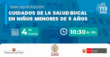  Capacitación online "Cuidados de la salud bucal en niños menores de 5 años" e la  Red de Salud Lamas