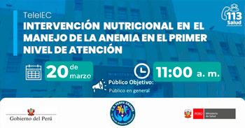  Capacitación online "Intervención nutricional en el manejo de la anemia en el primer nivel de atención"