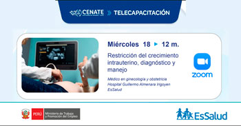  Capacitación online "Restricción del crecimiento intrauterino, diagnóstico y manejo" del EsSalud