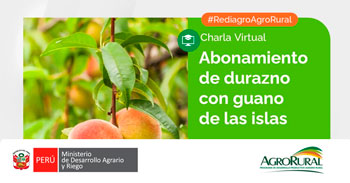  Charla online gratis "Abonamiento en cultivos con guano de las islas en el cultivo de durazno" de Agro Rural